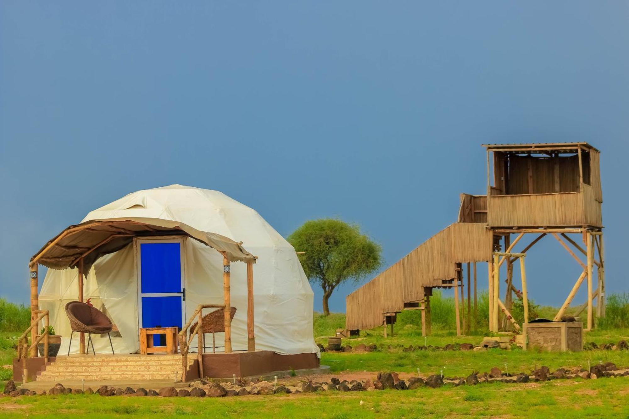 מלון אמבוסלי Little Amanya Camp מראה חיצוני תמונה