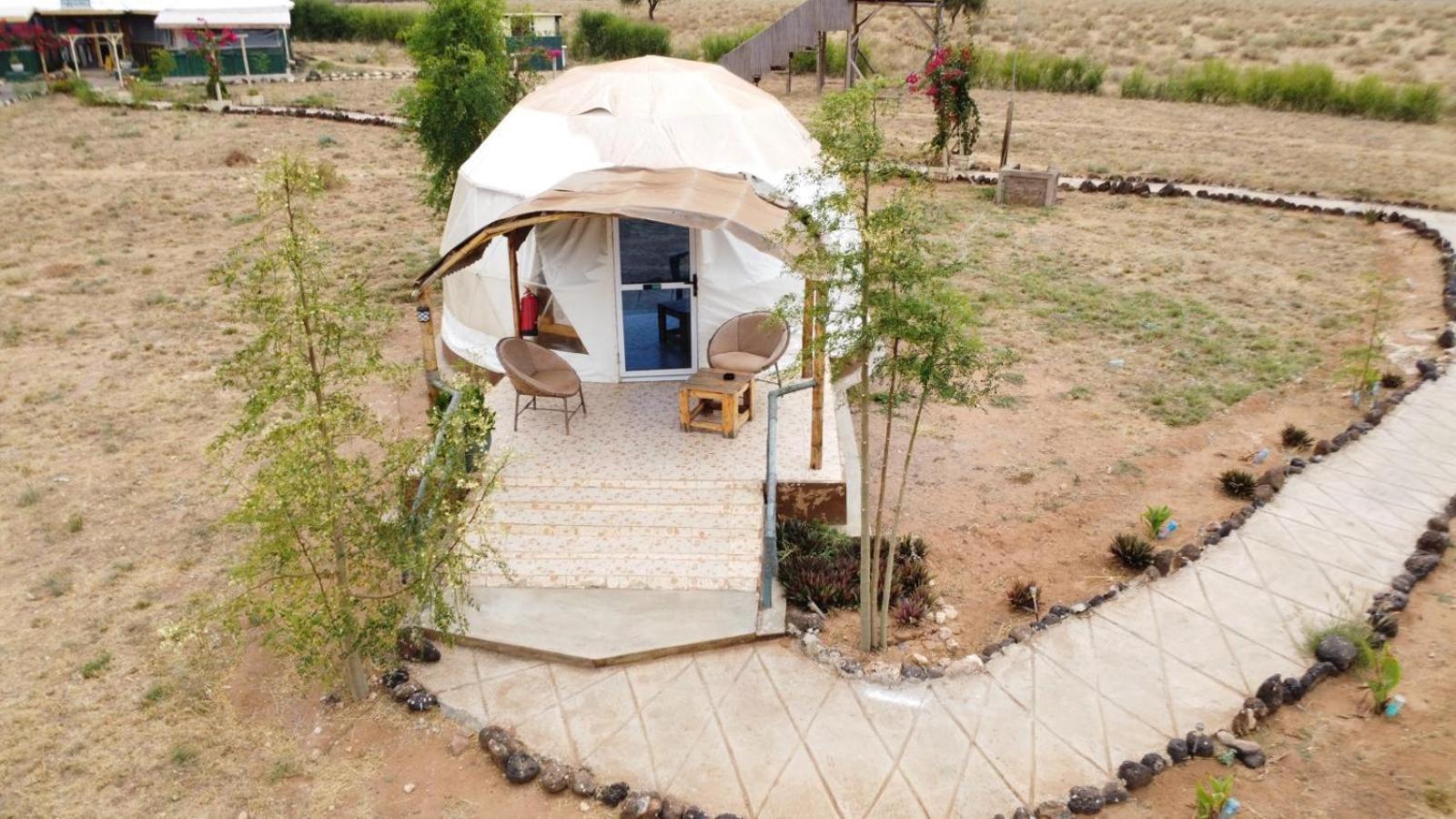 מלון אמבוסלי Little Amanya Camp מראה חיצוני תמונה